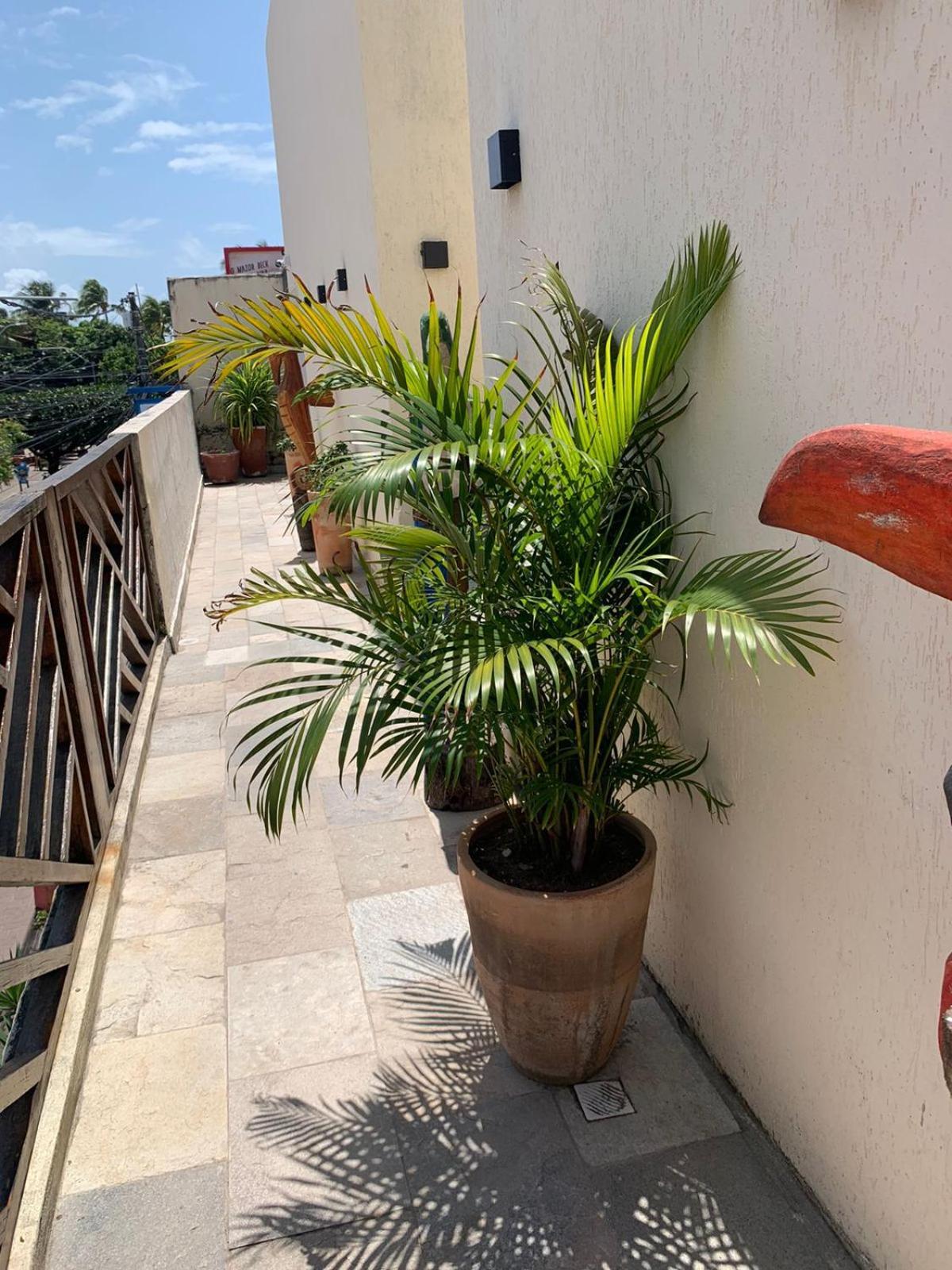 Villa Peixe Na Telha Porto de Galinhas Luaran gambar